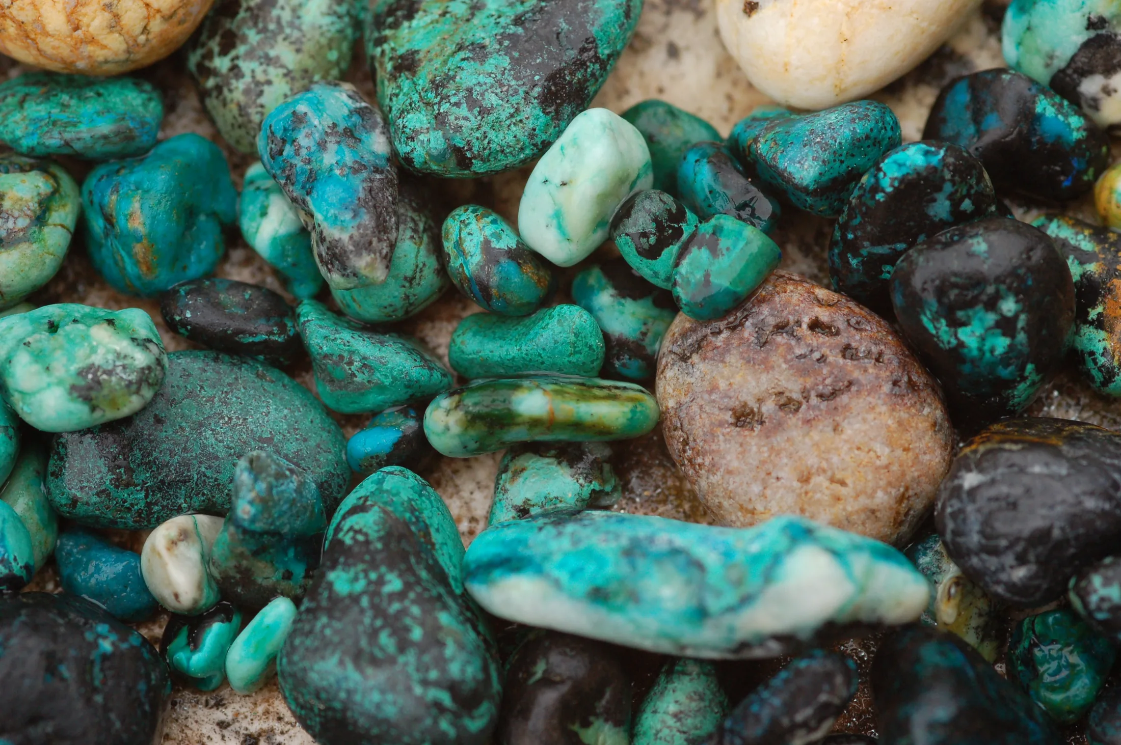 Minerals 1